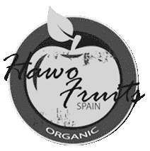 logo Hawo gris